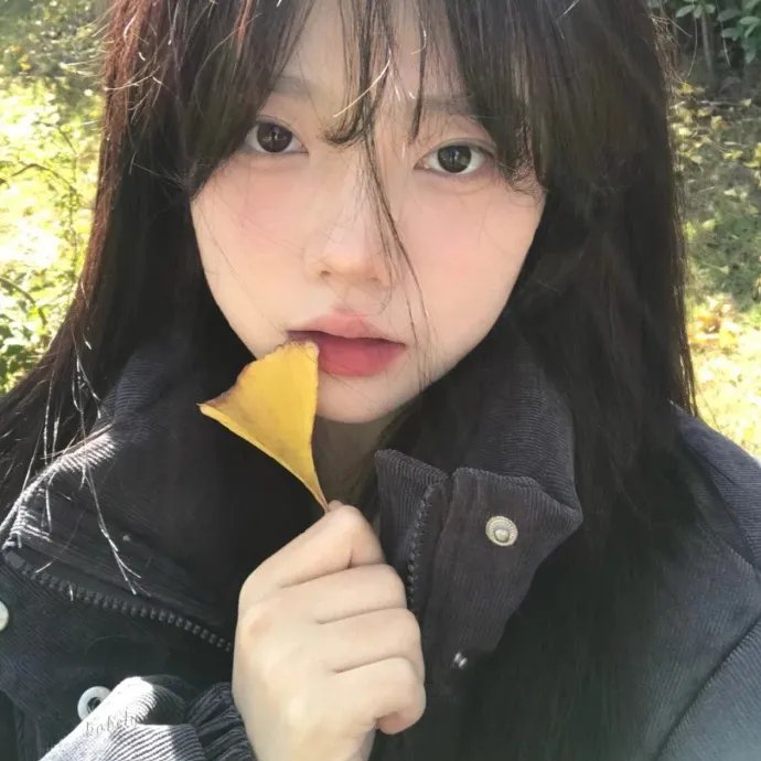 向政府说不